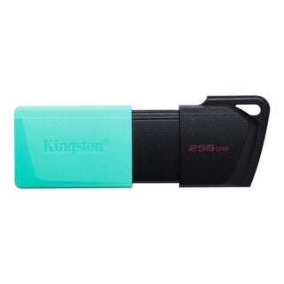 Kingston DataTraveler Exodia M unidad flash USB 256 GB USB 3.2 Gen 1